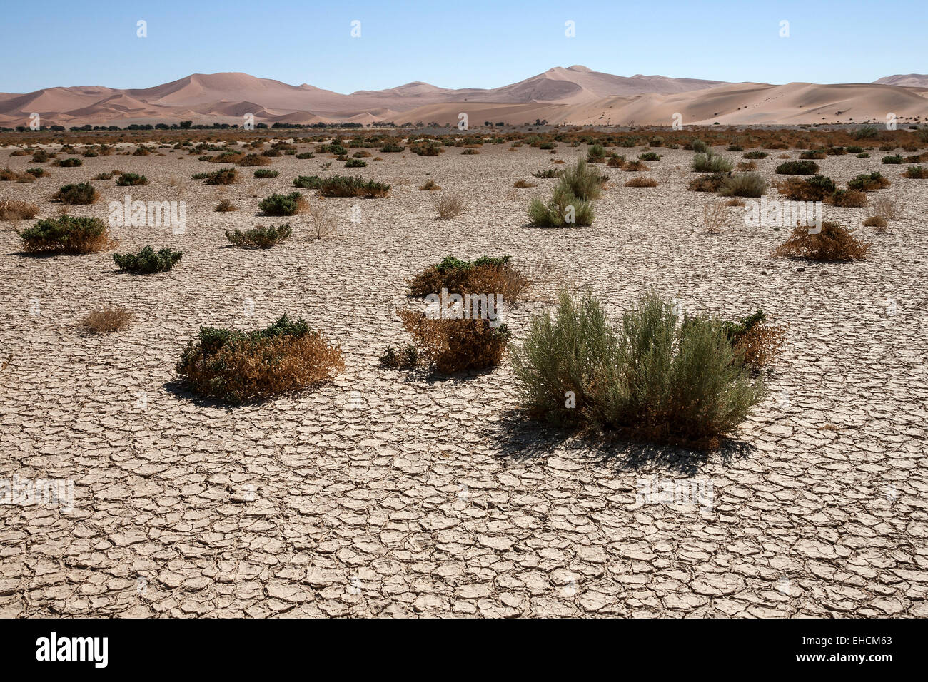 Sand dunes, Hidden Vlei, salt and clay pan, Namib Desert, Namib Naukluft Park, Namibia Stock Photo