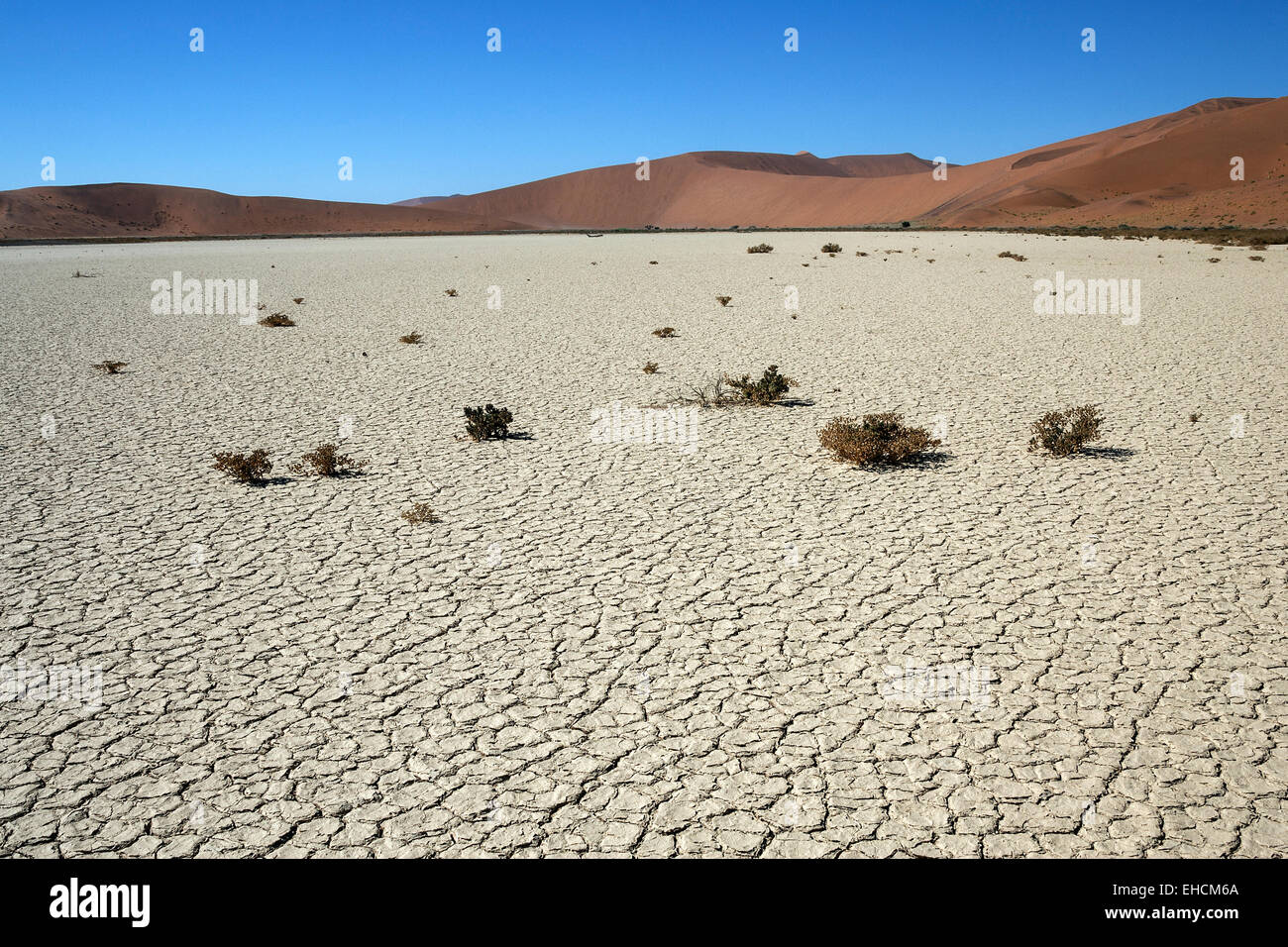 Hidden Vlei, salt and clay pan, sand dunes, Namib Desert, Namib Naukluft Park, Namibia Stock Photo