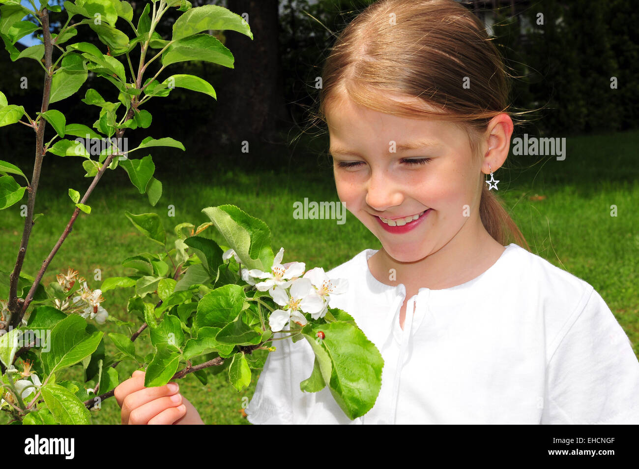 Girl Apple Blossom Garden Stock Photo