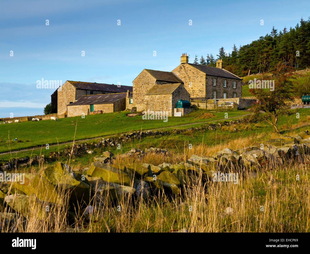 Hotbank Farm a traditional stone upland hill farm near Crag Lough and Hadrian's Wall in Northumberland National Park England UK Stock Photo
