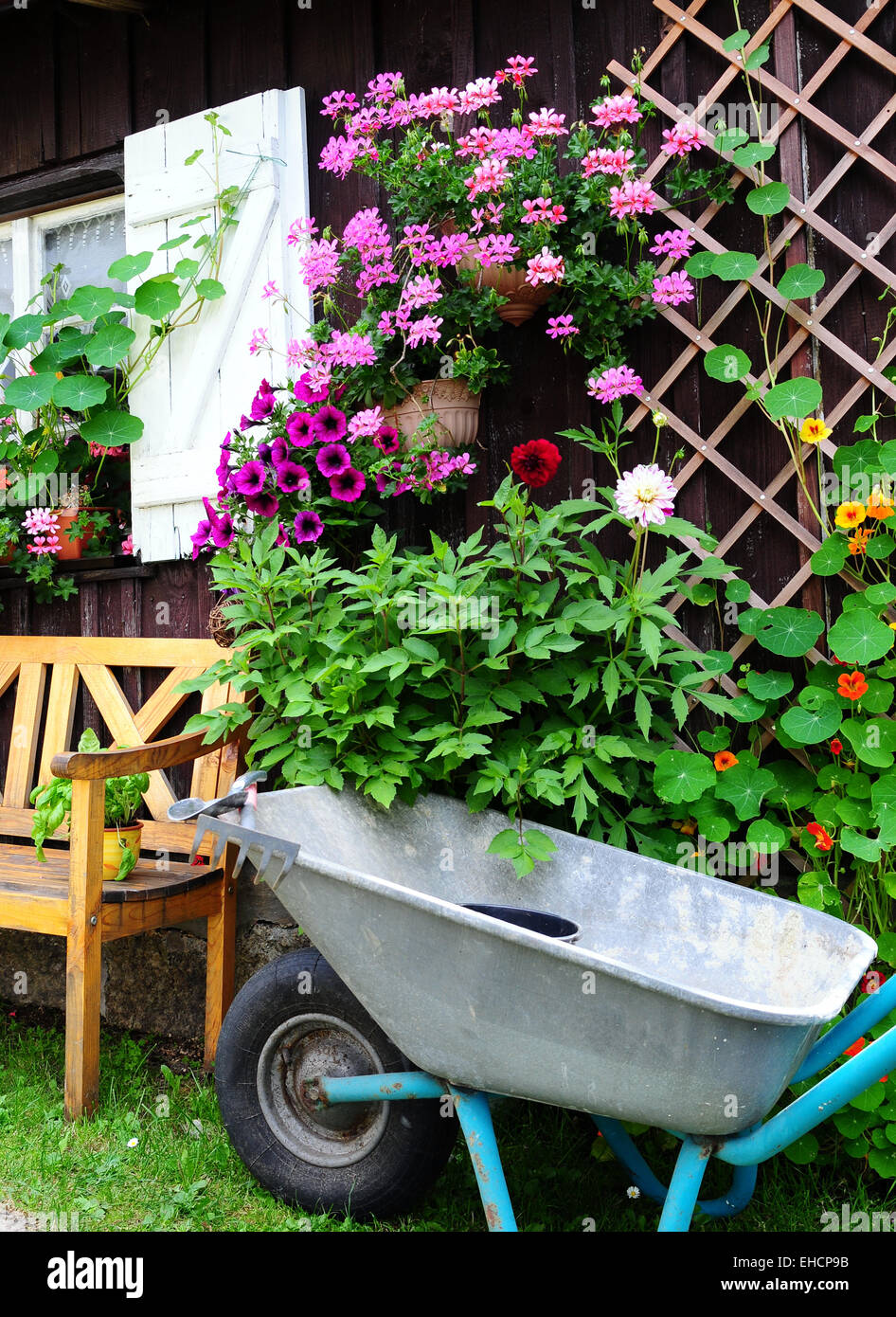 Plants Garden Planters Stock Photo Alamy