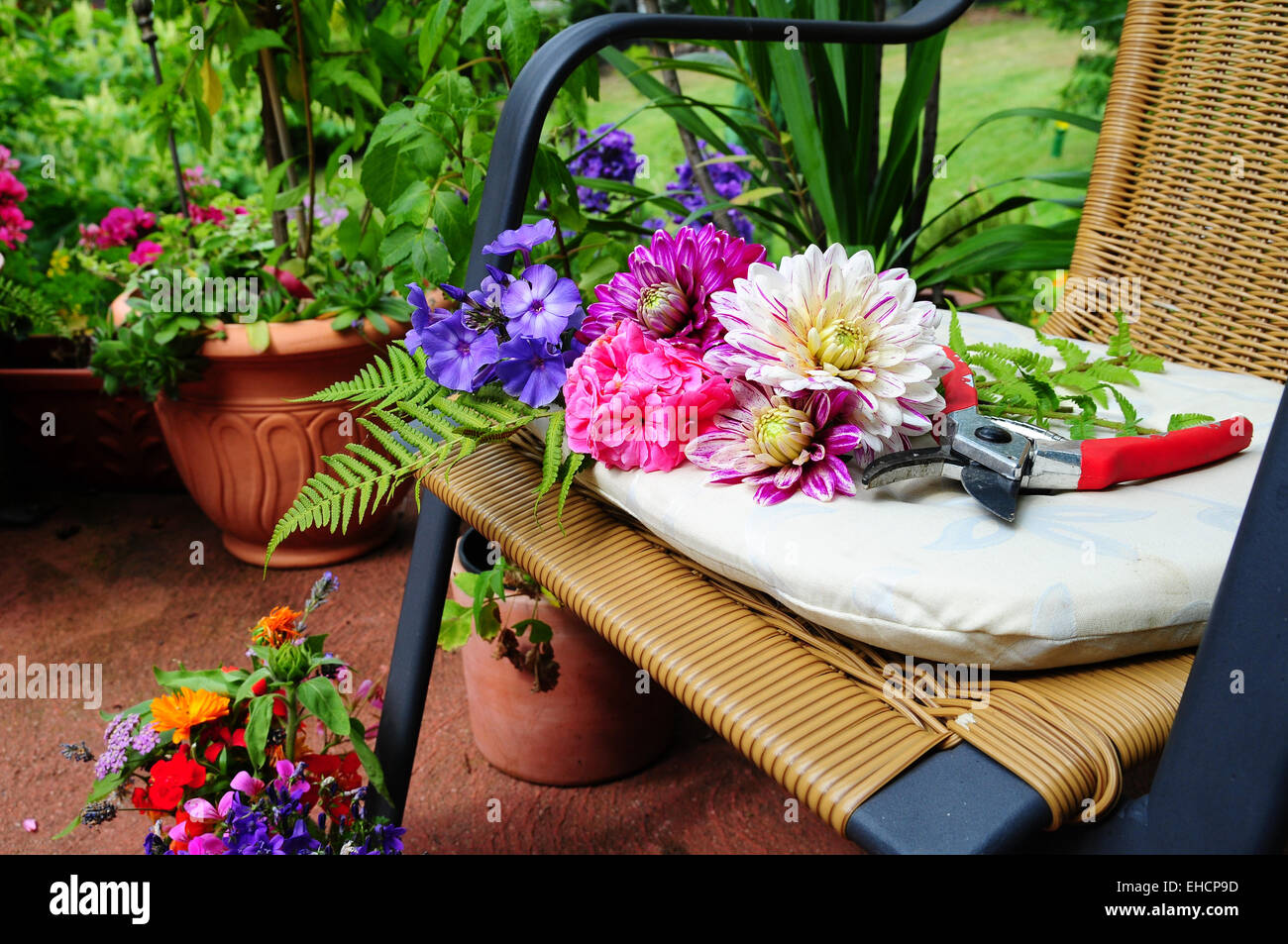 Plants Garden Planters Stock Photo Alamy