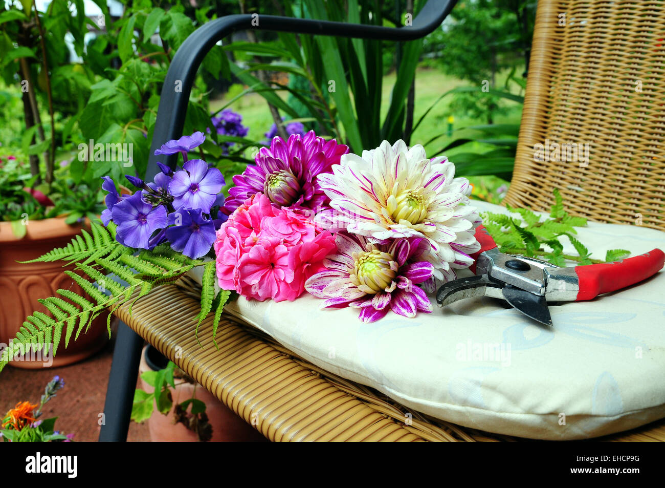 Plants Garden Planters Stock Photo Alamy