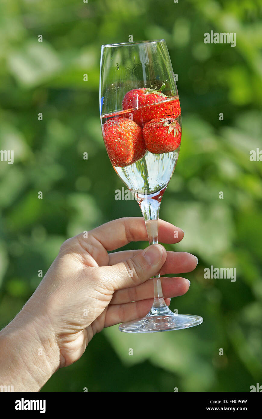 Strawberries in the glass Stock Photo