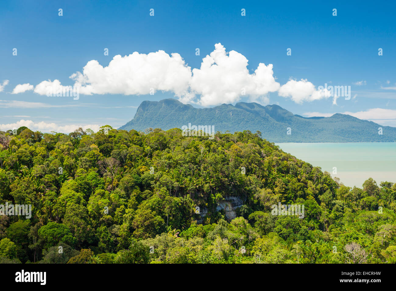 Jungle landscape hi-res stock photography and images - Alamy