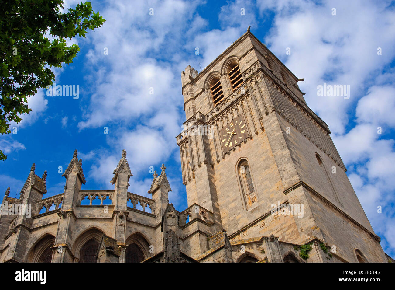 St-Nazaire cathedral (XIVth century). Beziers. Herault, Languedoc-Roussillon. Francia. Stock Photo
