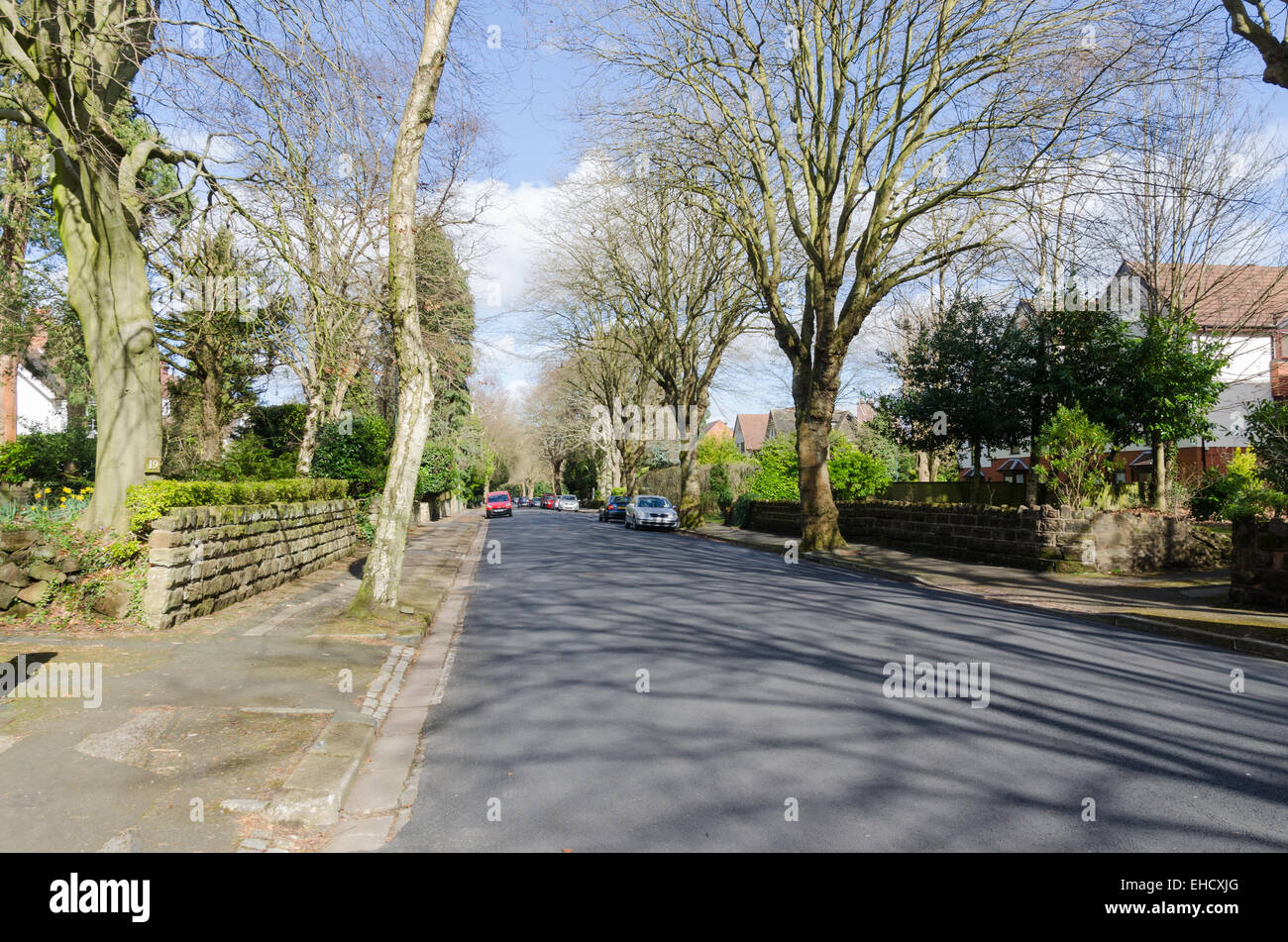 Larges houses in St Agnes Road in the St Agnes, Moseley Conservation