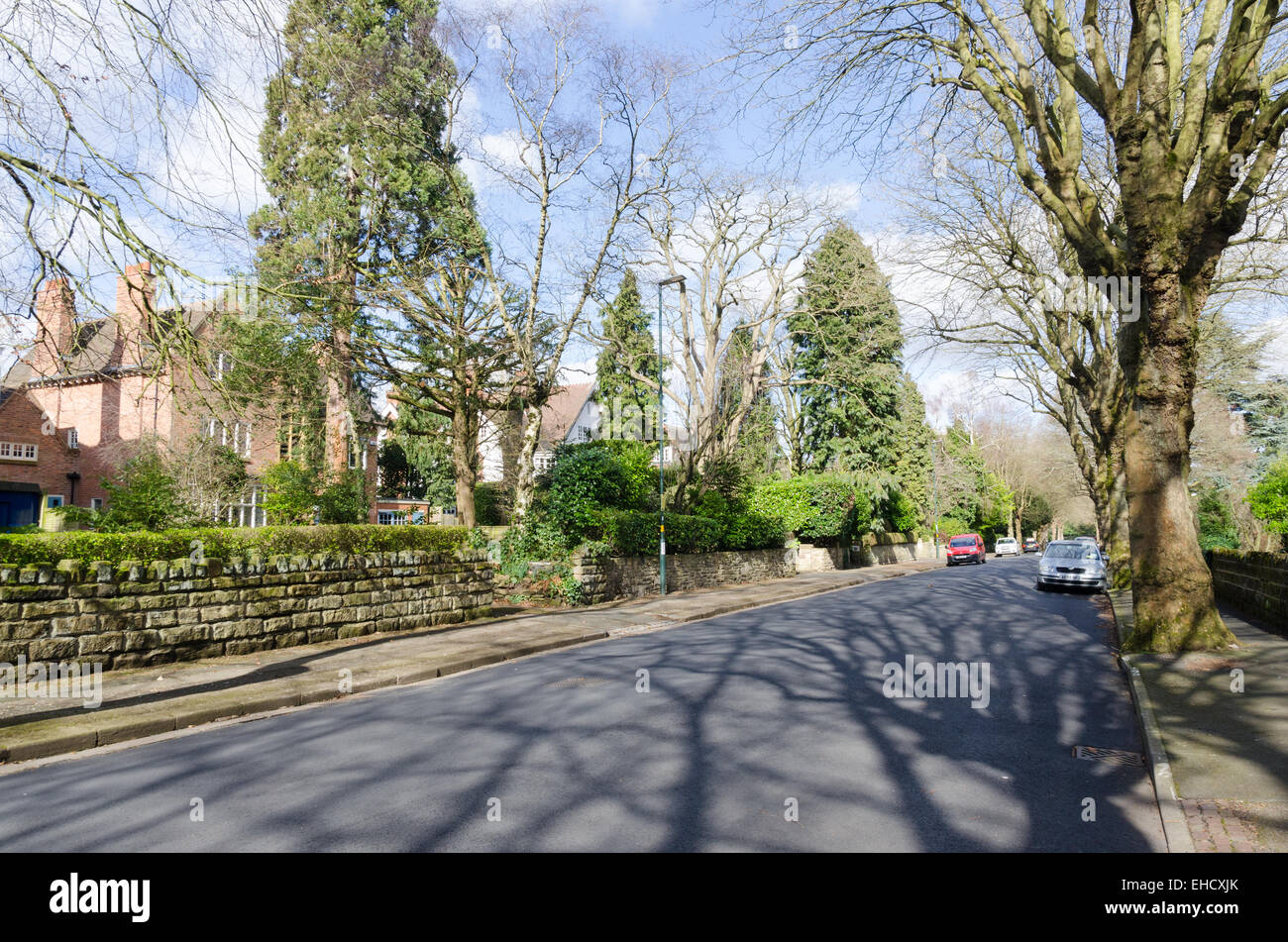Larges houses in St Agnes Road in the St Agnes, Moseley Conservation