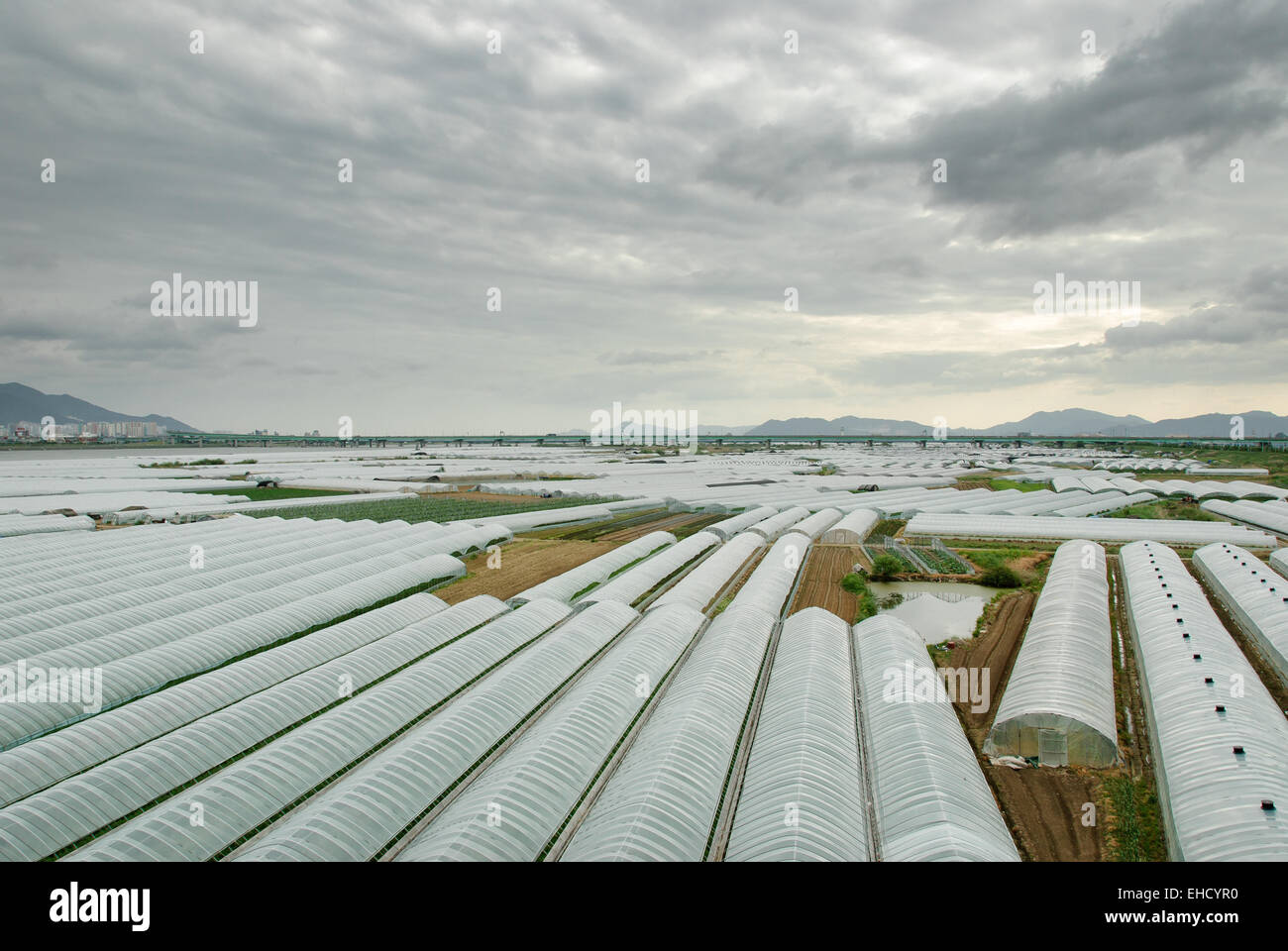 vinyl greenhouses in Gimhae field in Korea Stock Photo