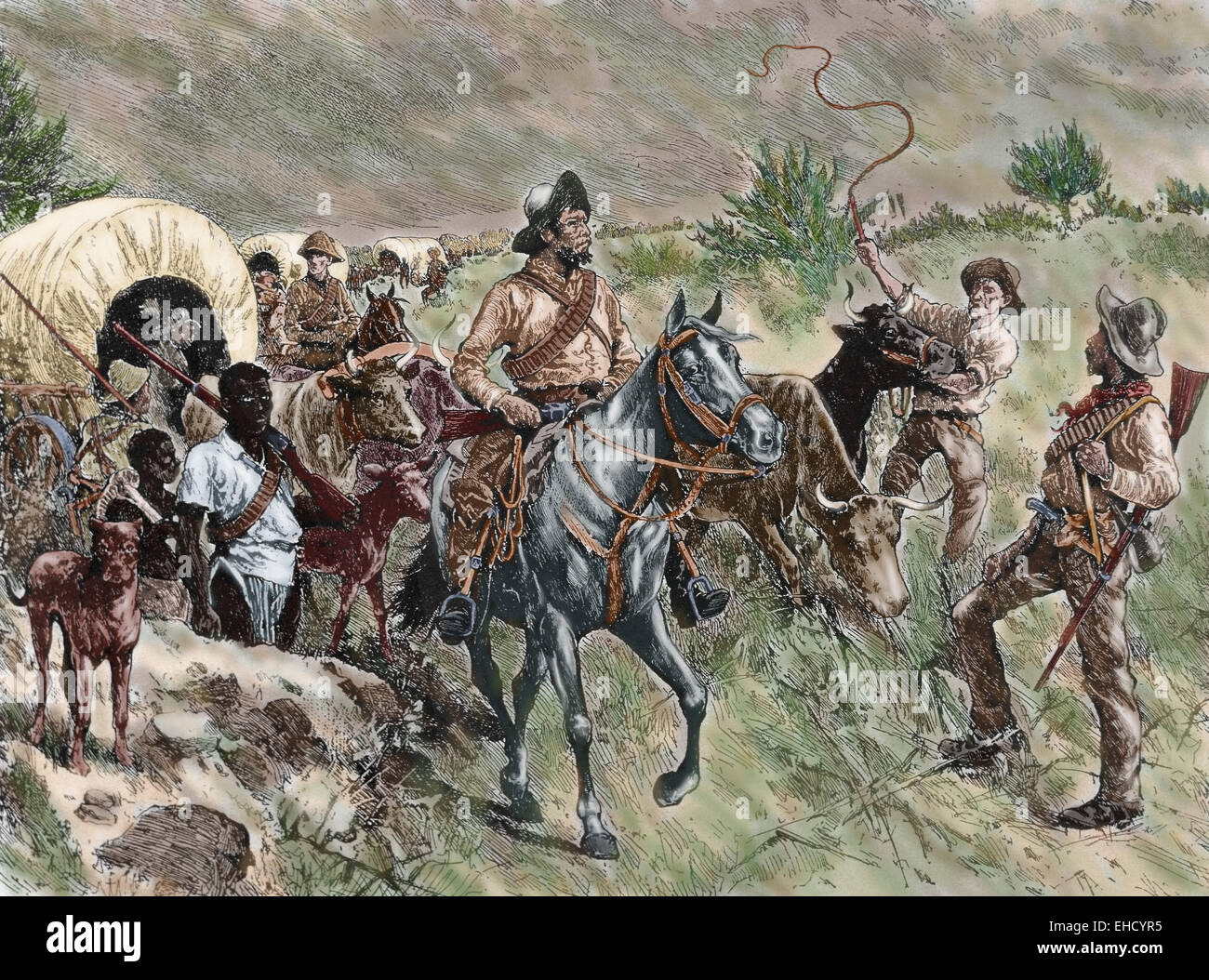 Second Anglo-Boer War (1899-1902). A convoy of Boers. Engraving, 19th century. Colored. Stock Photo