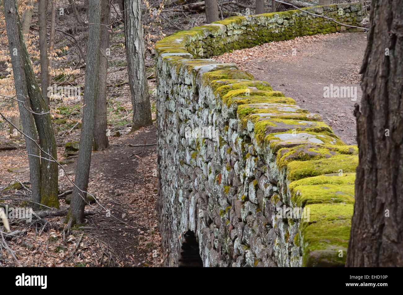 Moss covered stones in a wall Stock Photo