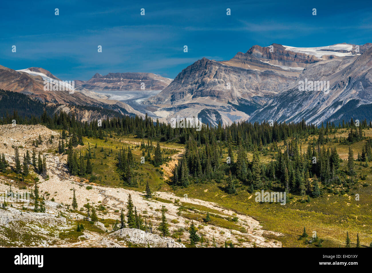 Waputik Range over Yoho Valley, Mount Balfour, from Iceline Trail, Canadian Rockies, Yoho Nat