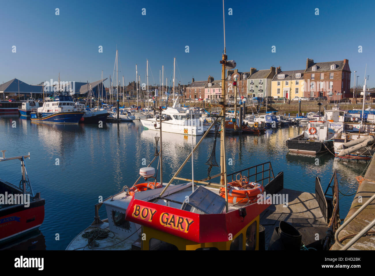 arbroath harbour commercial fishing port  angus scotland Stock Photo