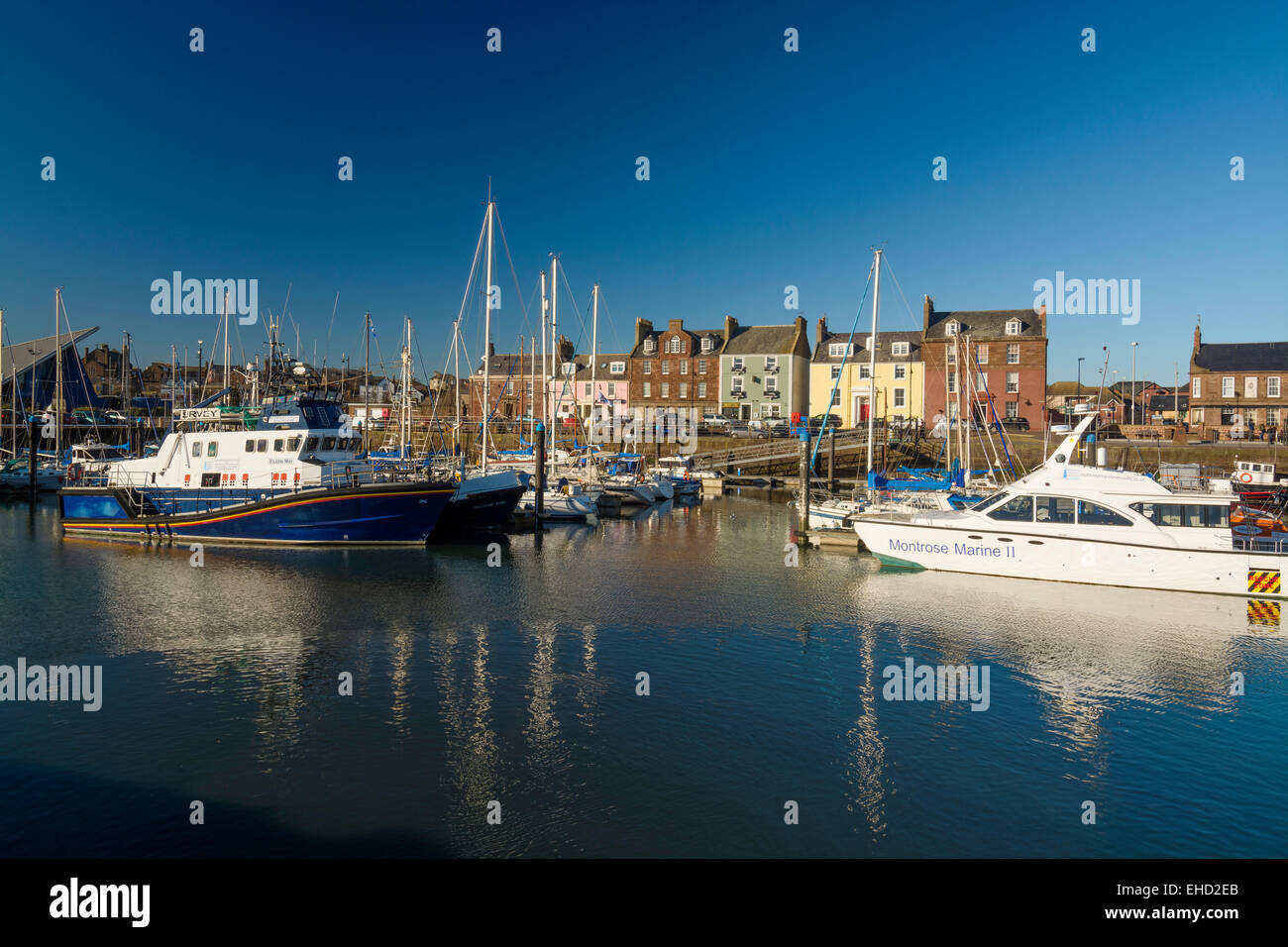 arbroath harbour commercial fishing port  angus scotland Stock Photo