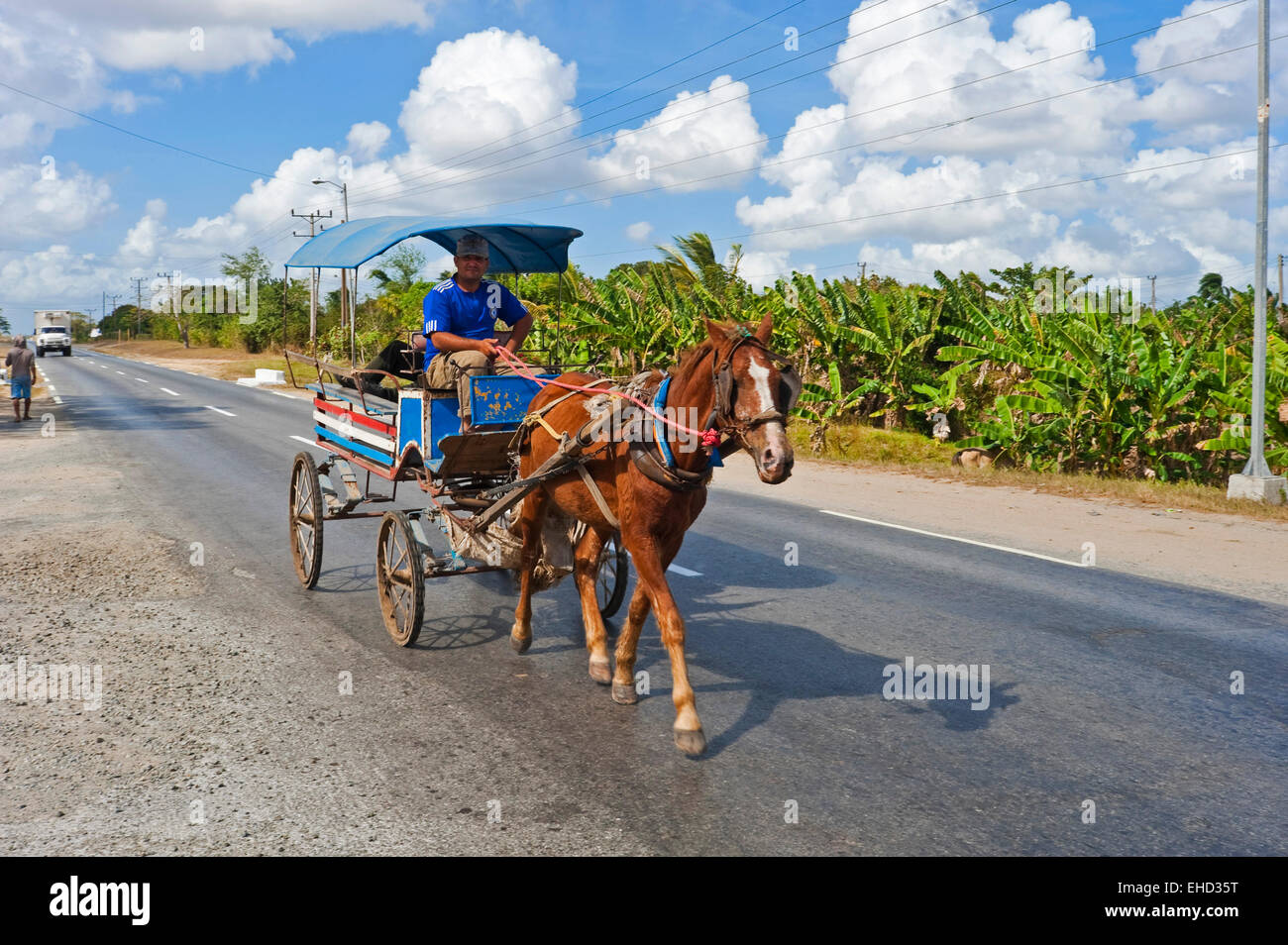 Horizontal view of a horse and carriage in Cuba. Stock Photo