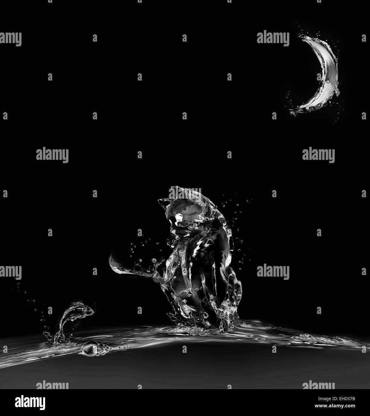 A cat made of water sitting on water looking at a jumping fish Stock Photo Alamy