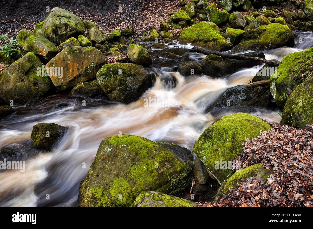 Flowing water at Padley Gorge in the Peak District, Derbyshire. Stock Photo