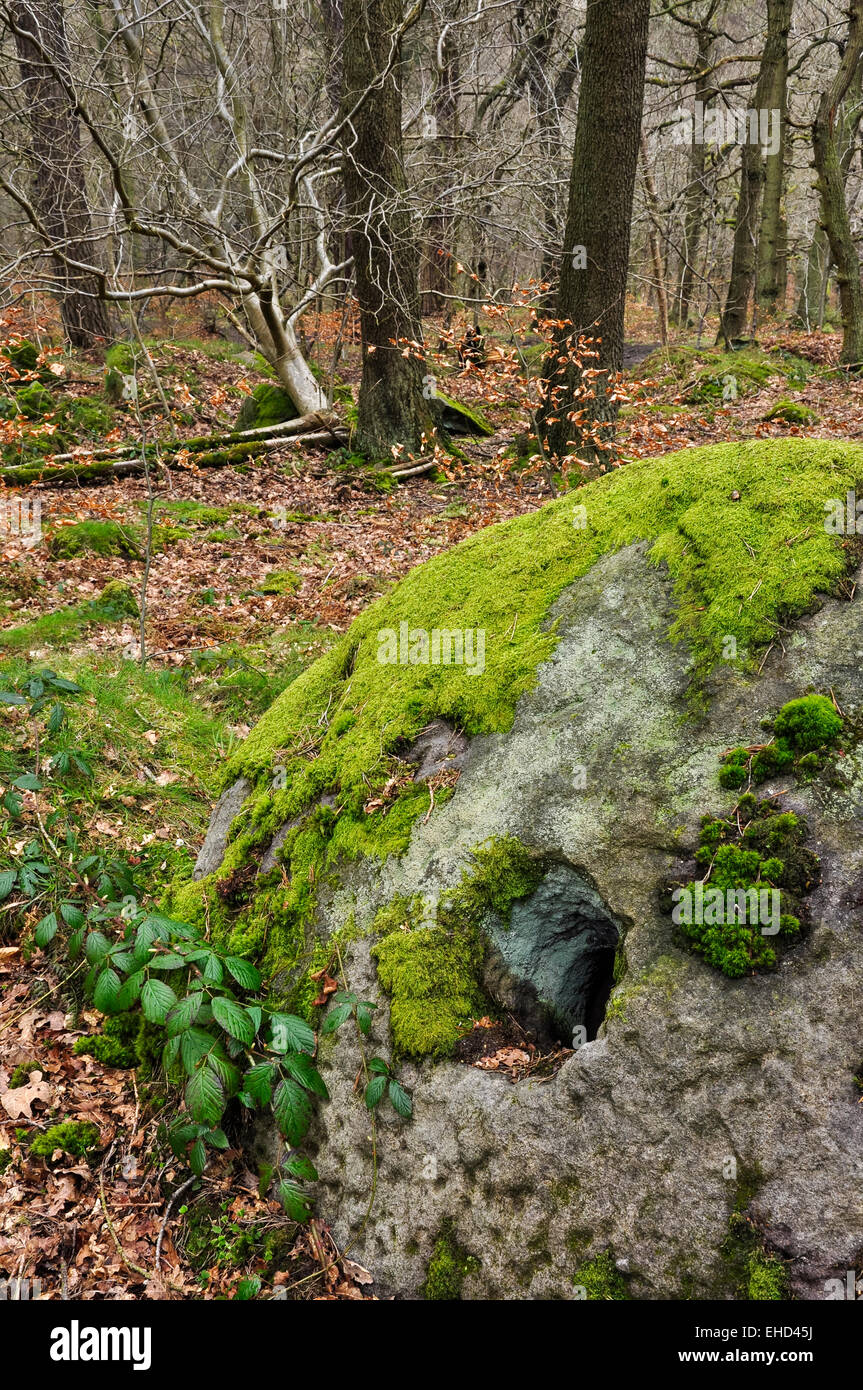 A millstone hidden in the woods at Padley Gorge in the Peak District, Derbyshire. Stock Photo