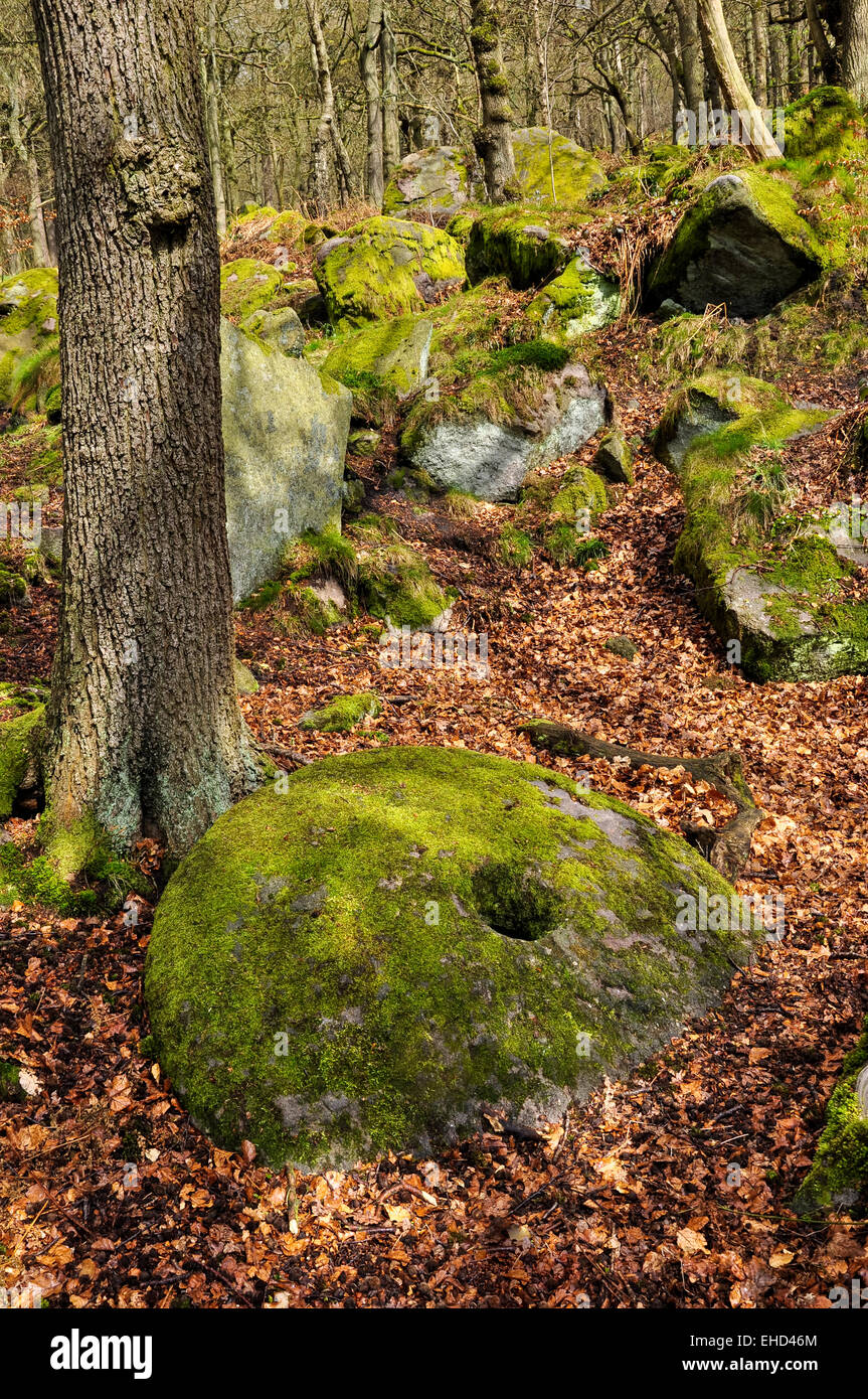 A mossy millstone in Yarncliffe woods near Padley Gorge, Derbyshire. Stock Photo