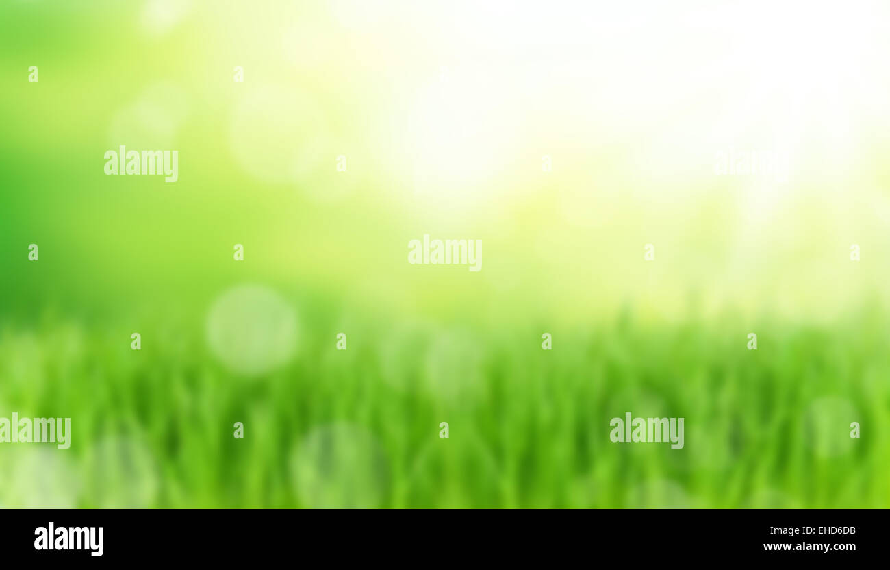 Green blur background hi-res stock photography and images - Alamy