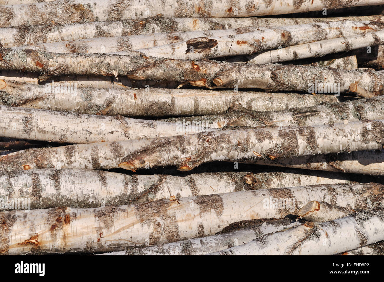 Stack of birch logs background Stock Photo - Alamy