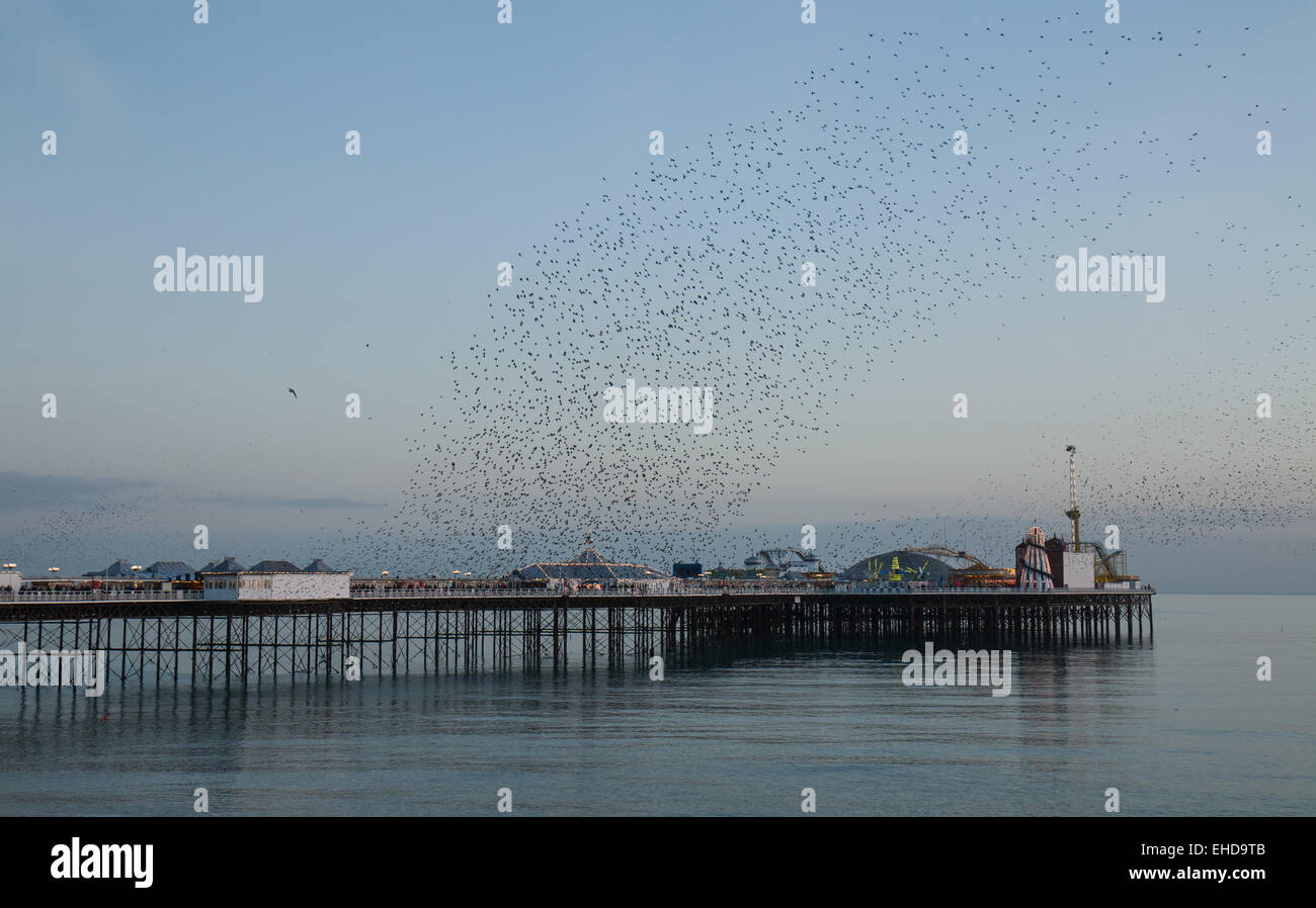 Starlings over Brighton Pier at sunset. Stock Photo