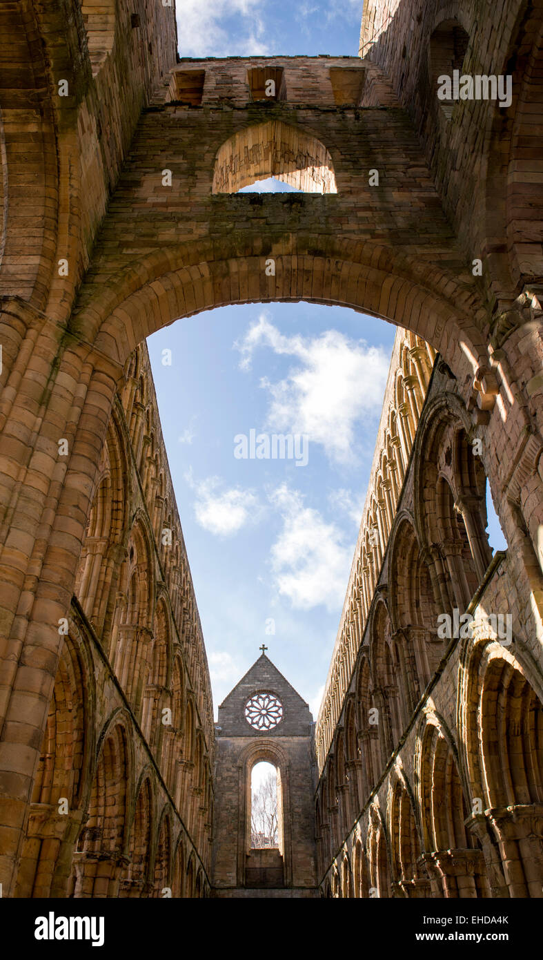 Jedburgh abbey. Jedburgh. Scottish Borders, Scotland Stock Photo
