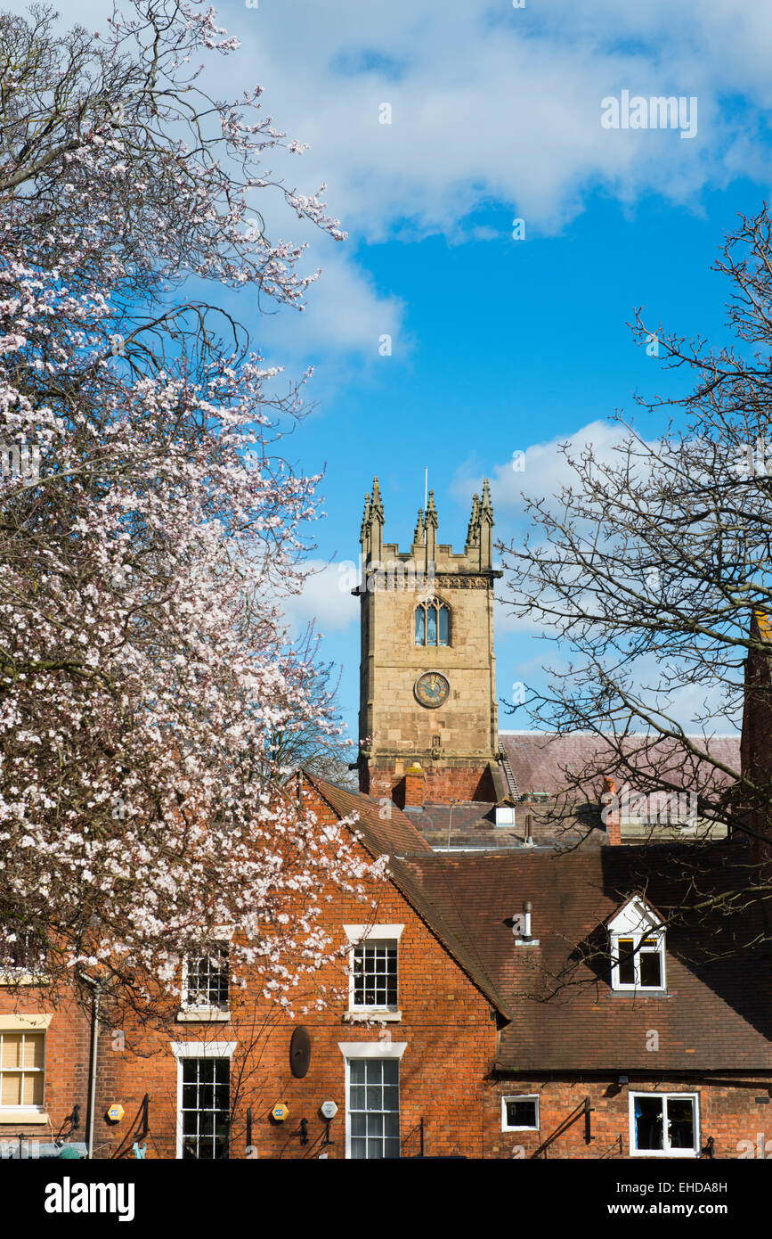 St Julian's Church in Spring time, Shrewsbury, Shropshire, England Stock Photo Alamy