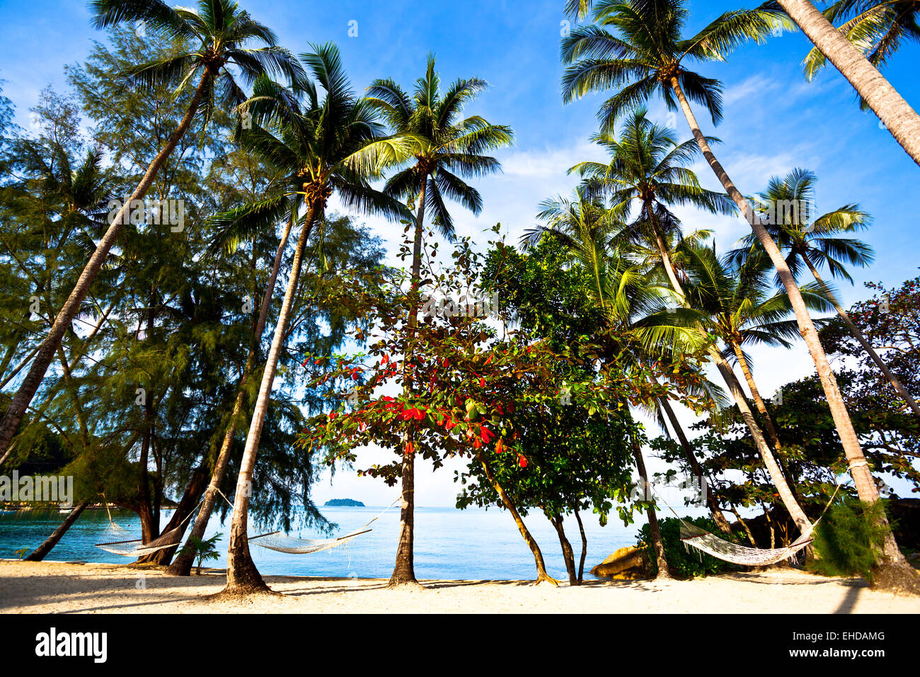 Straw hammocks on the tropic beach palms Stock Photo