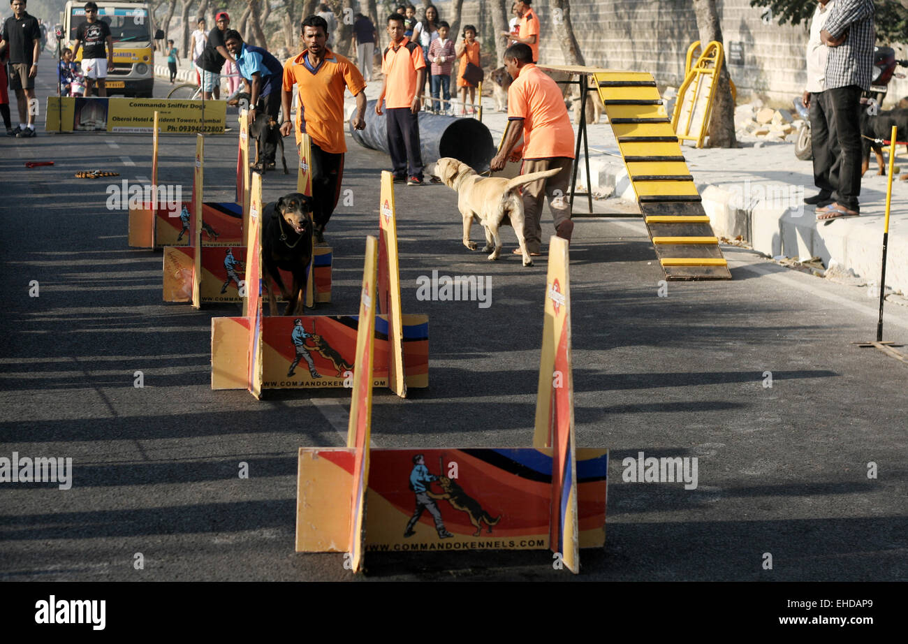 Dog training show in necklace road on happy streets day (No vehicular traffic 6-10 AM) on February 15,2015 in Hyderabad,India Stock Photo