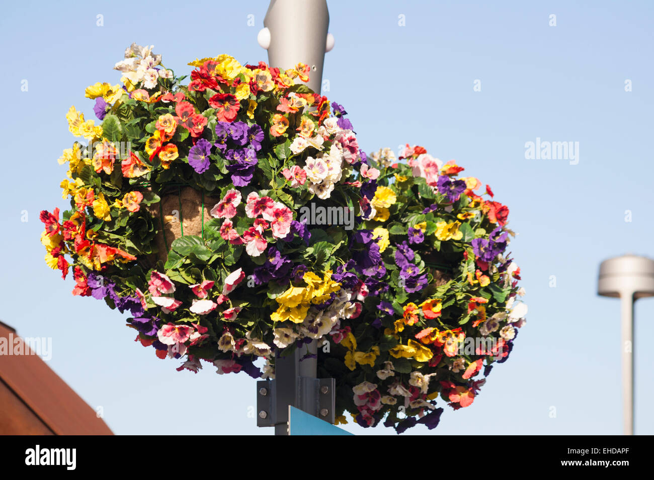 Hanging baskets full of colourful pansies at Stratford on the way to