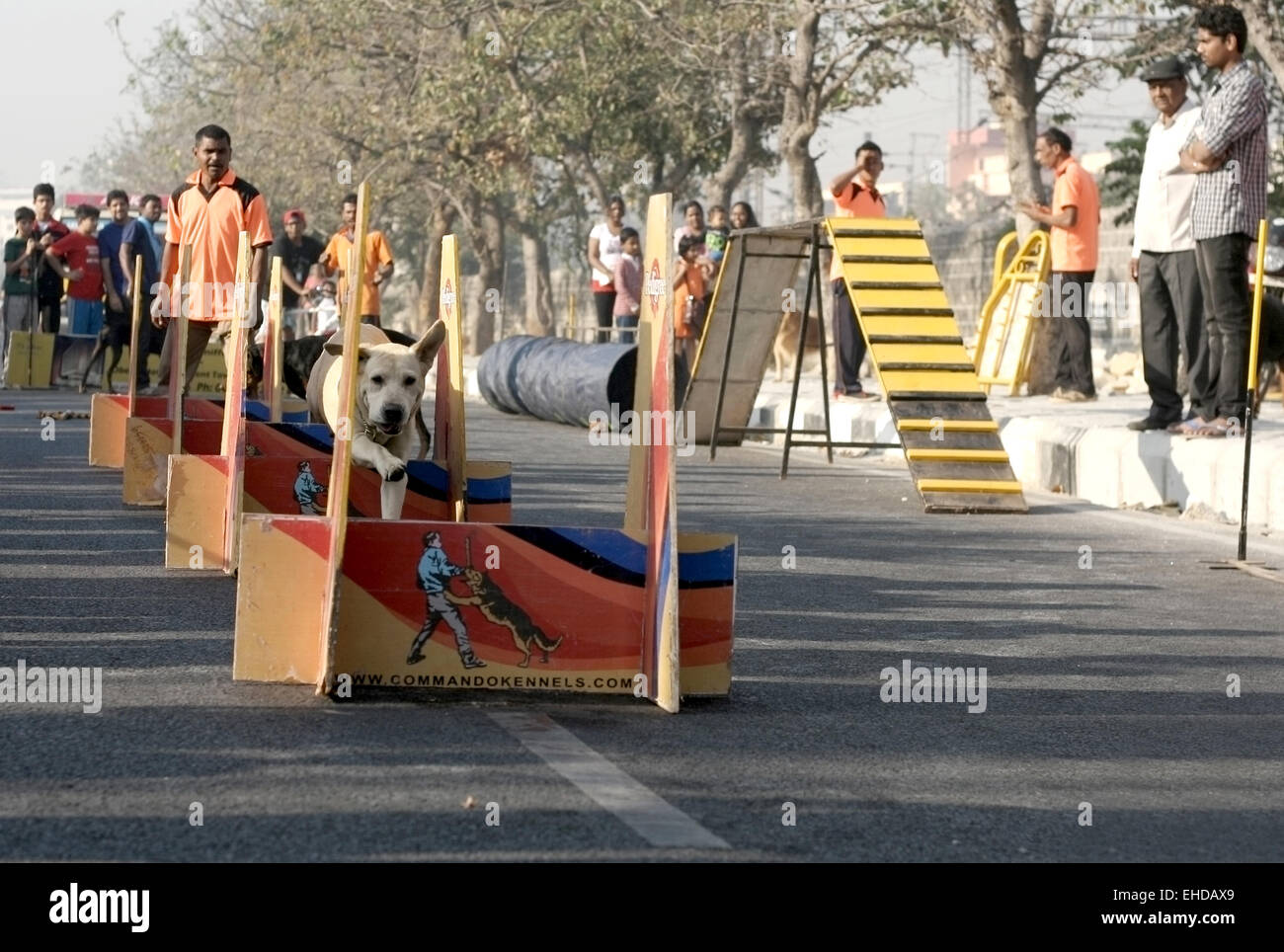 Dog training show in necklace road on happy streets day (No vehicular traffic 6-10 AM) on February 15,2015 in Hyderabad,India. Stock Photo