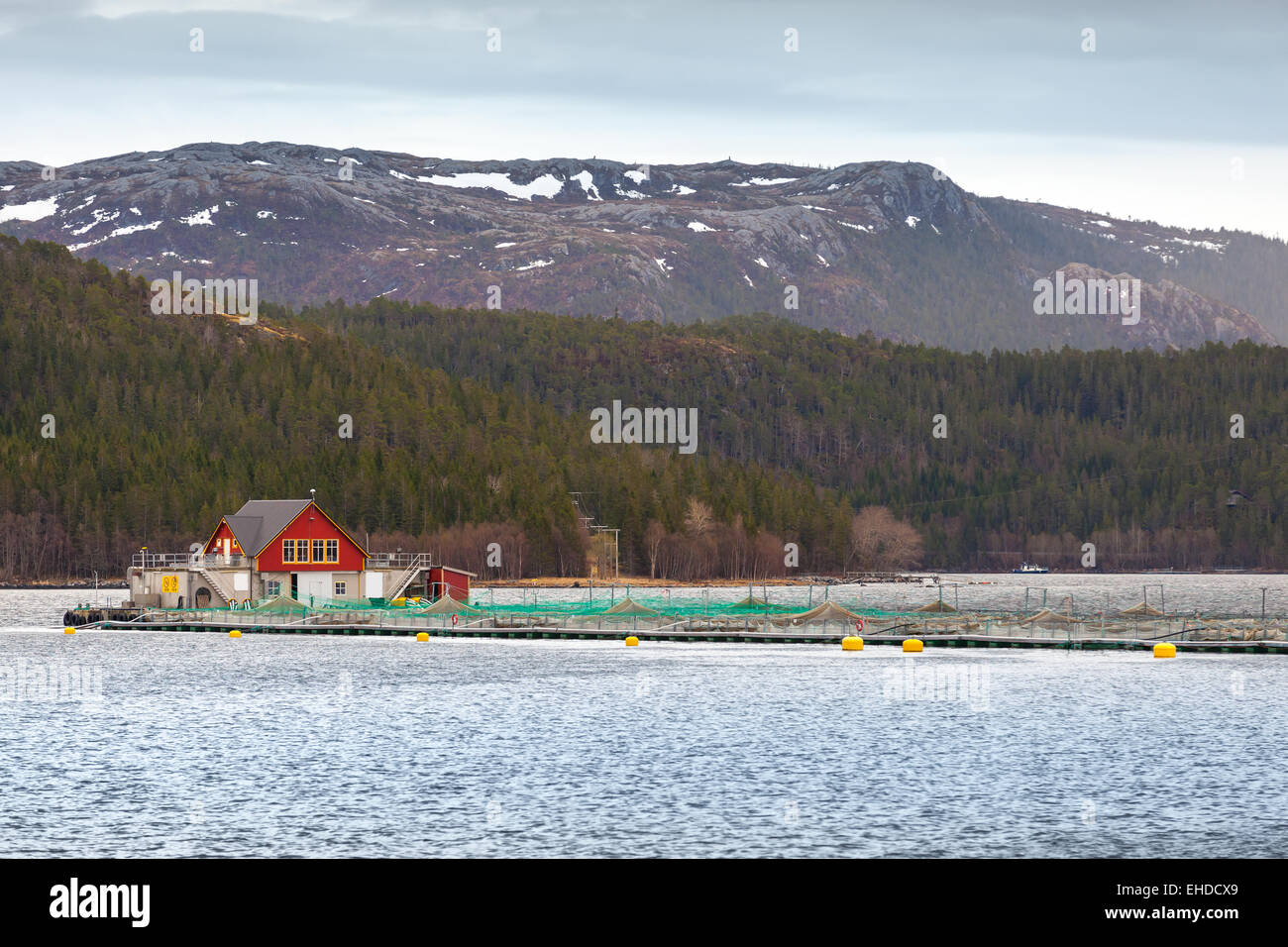 Traditional Norwegian floating fish farm with red wooden house and nets Stock Photo