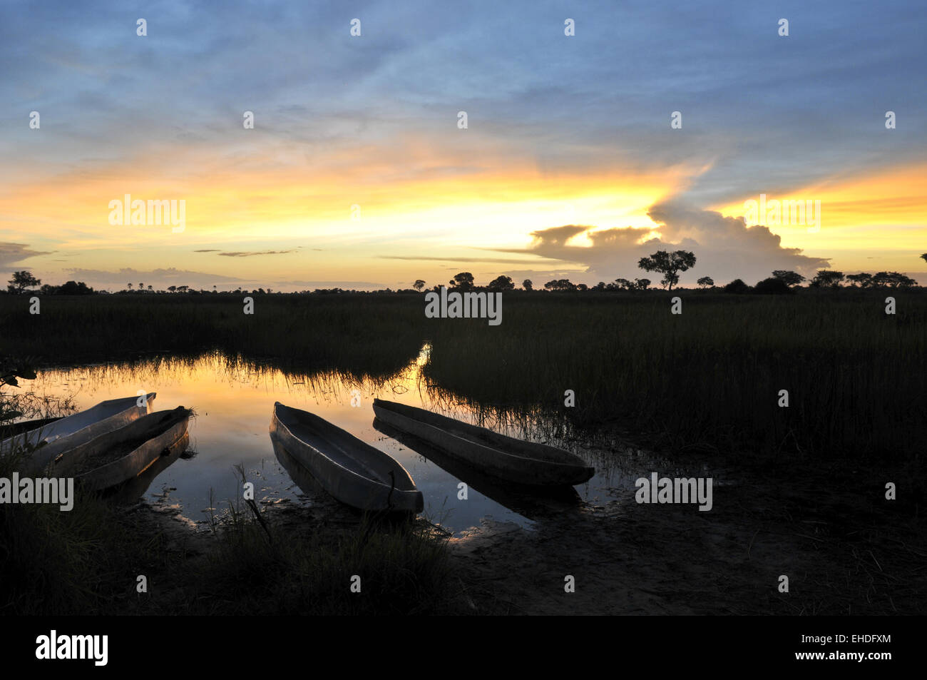 Sunset in Okavango delta Stock Photo