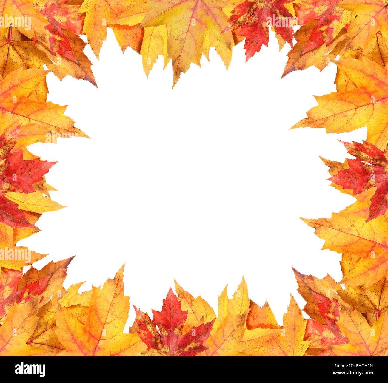 Colorful autumn leaves frame on white Stock Photo - Alamy