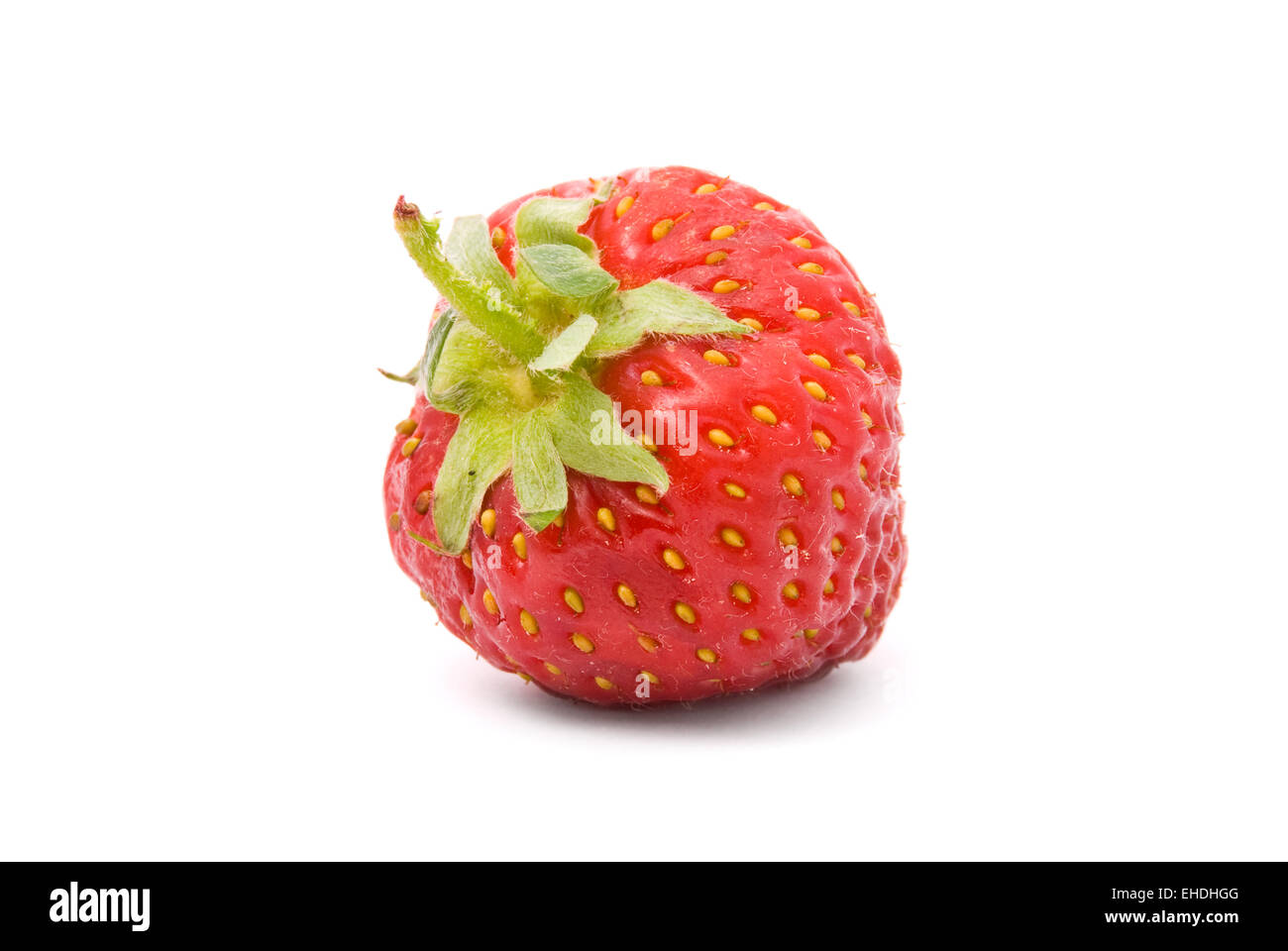 Shiny strawberry on the plant hi-res stock photography and images - Alamy