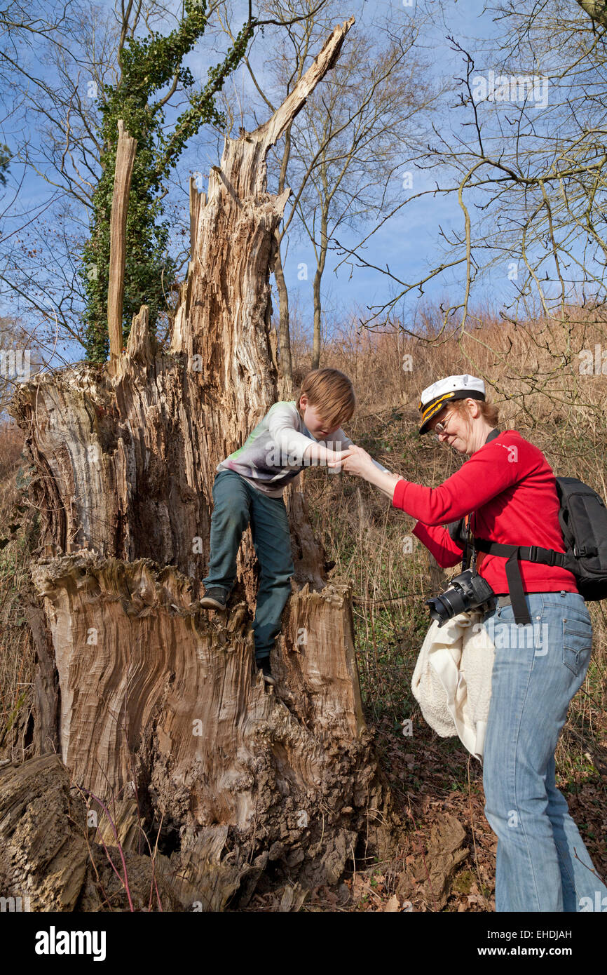 mother helping her young son off a tree stump at Elbe riverside near Sandkrug, Schnakenbek, Schleswig-Holstein, Germany Stock Photo