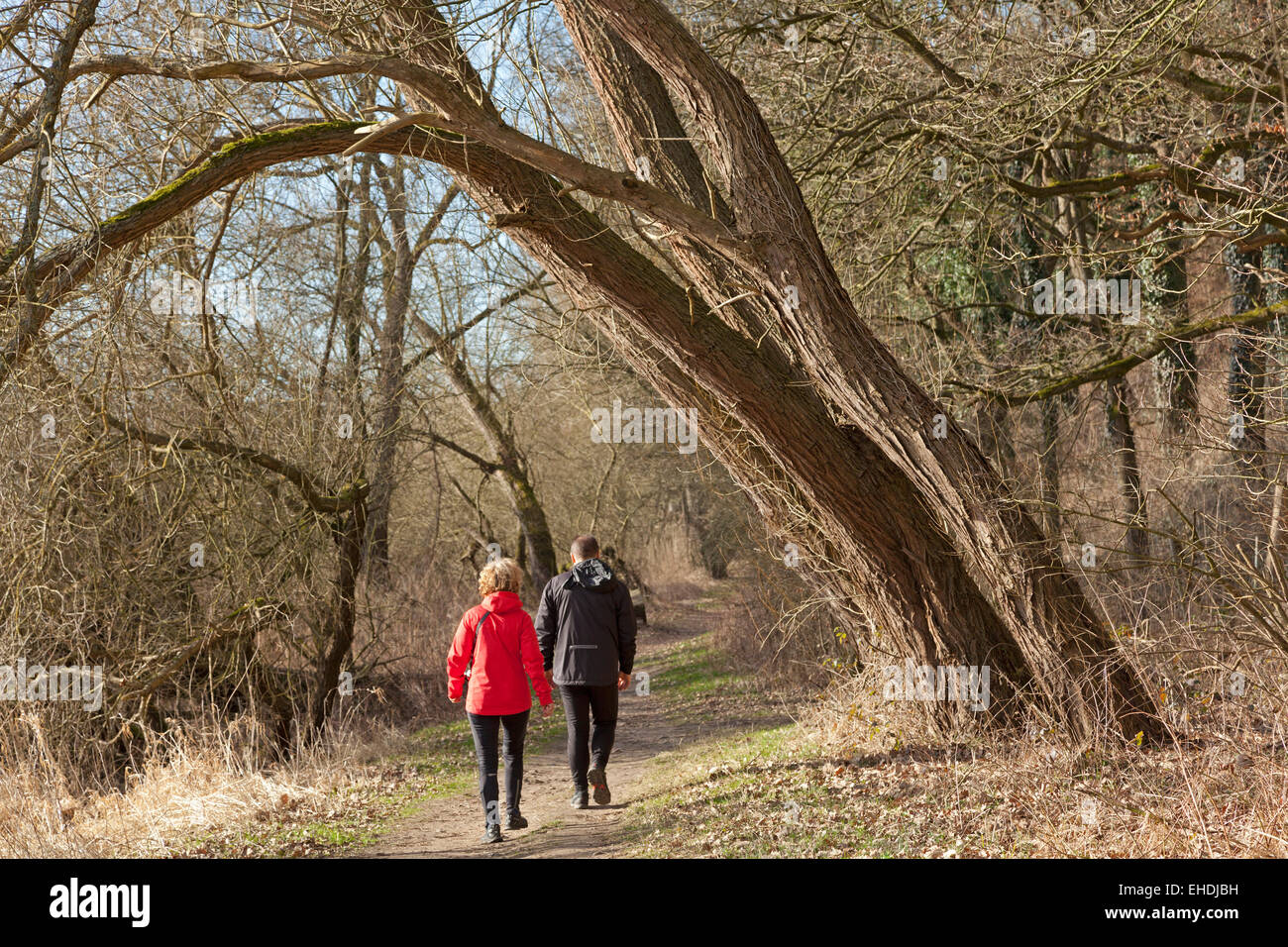 people going for a walk at Elbe riverside near Sandkrug, Schnakenbek, Schleswig-Holstein, Germany Stock Photo