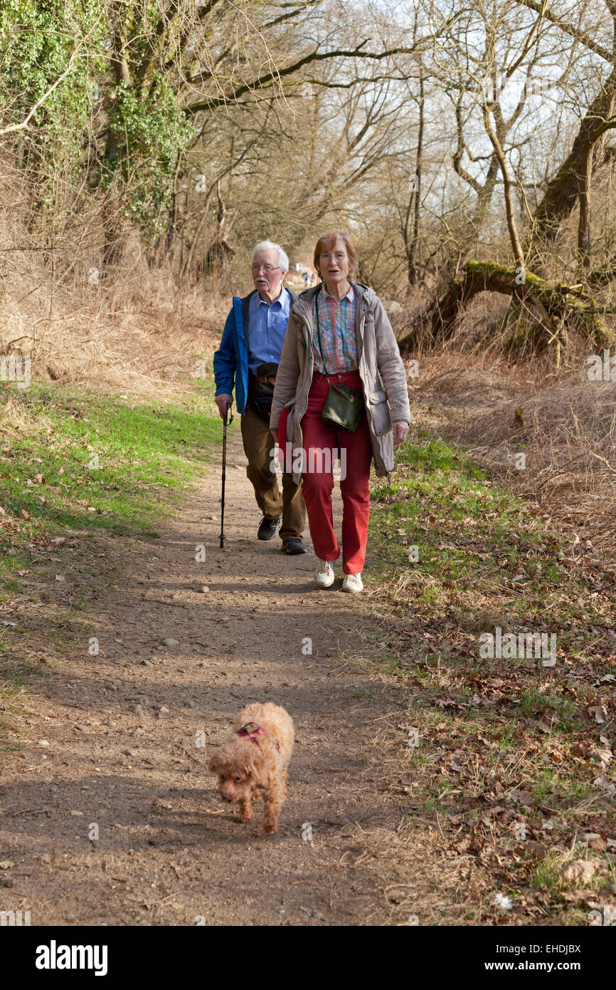 elderly couple and their dog going for a walk at Elbe riverside near Sandkrug, Schnakenbek, Schleswig-Holstein, Germany Stock Photo