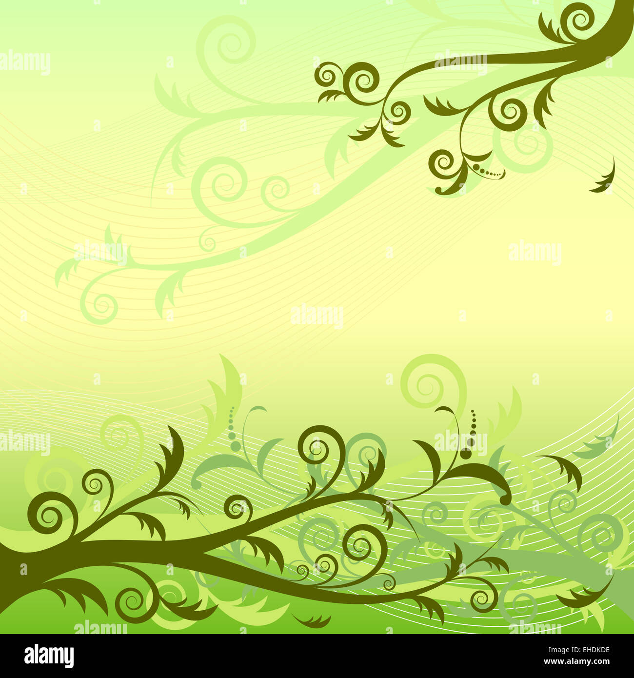 Green floral background Stock Photo - Alamy