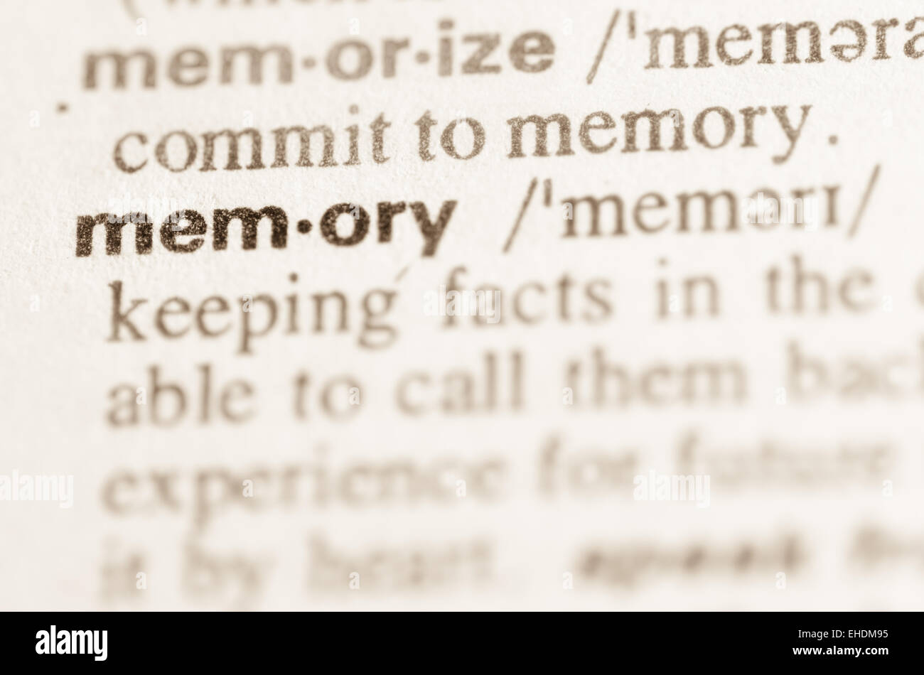 The Word Memory