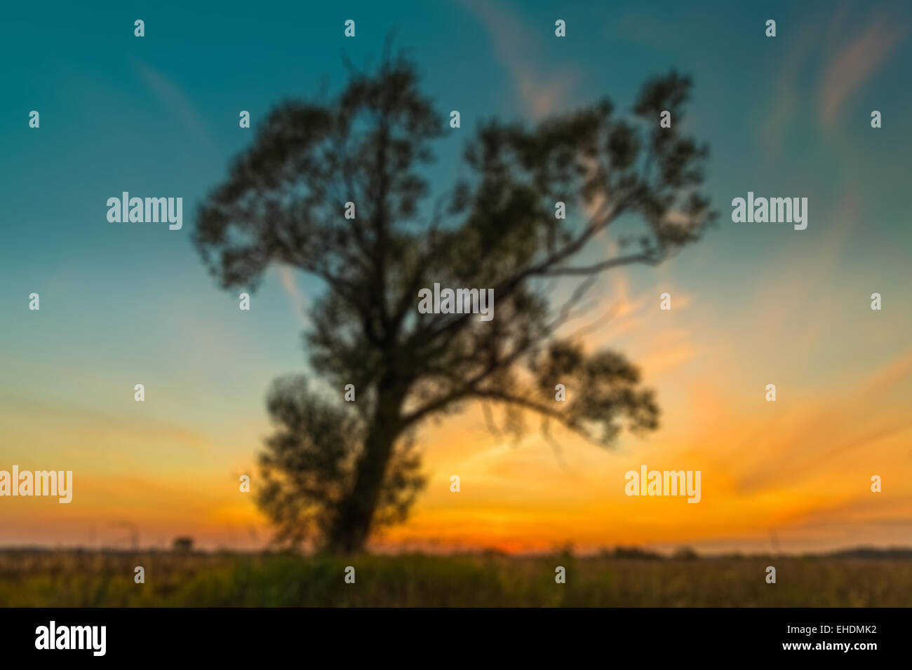Green garden background hi-res stock photography and images - Alamy