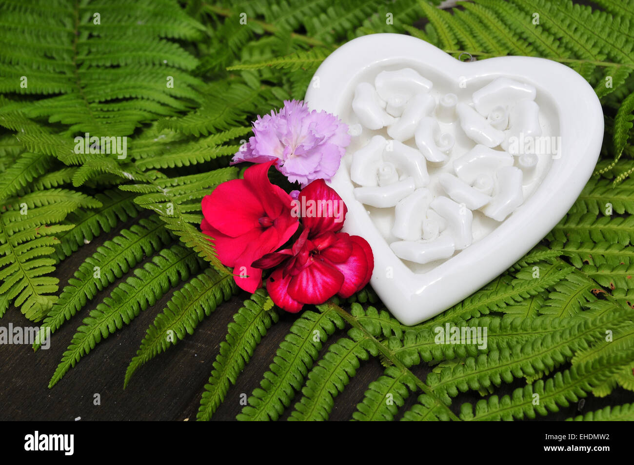 White heart in green fern Stock Photo