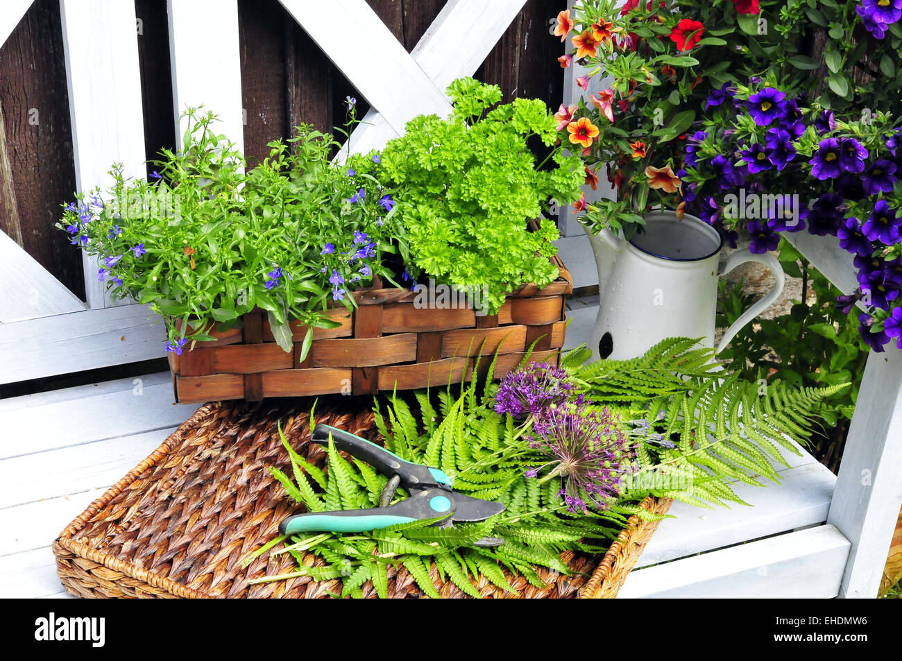 Herb garden bench Stock Photo Alamy