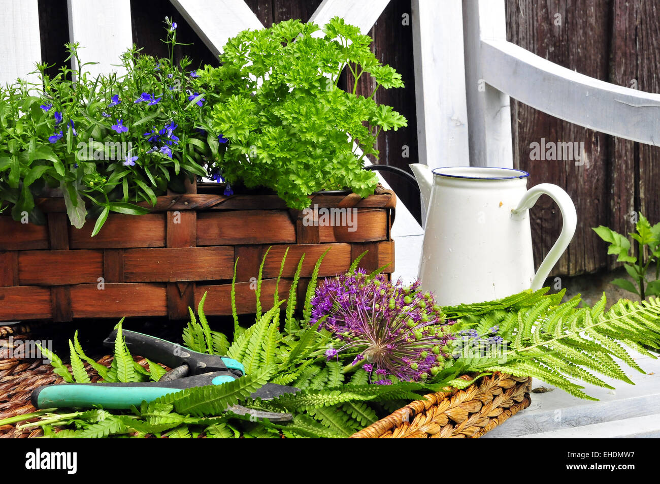 Herb garden bench Stock Photo Alamy