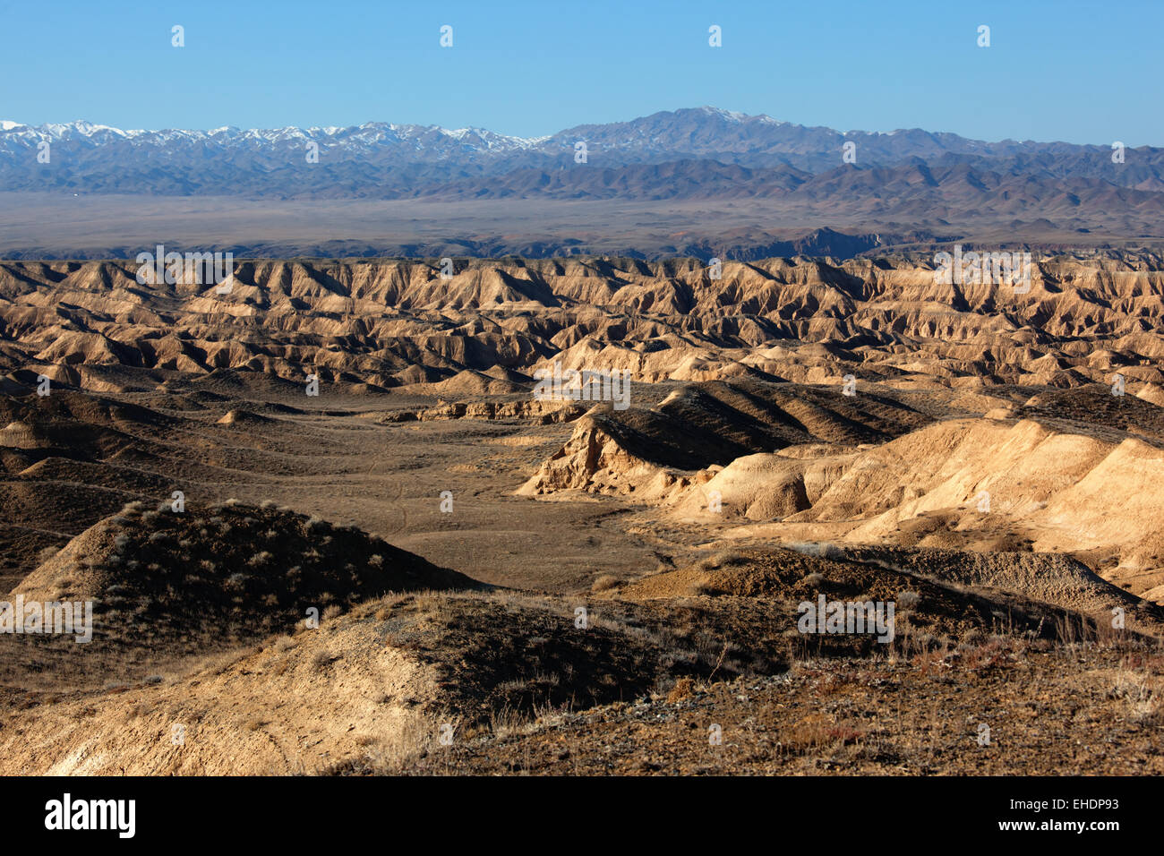 Yellow canyon in deserts of Kazakhstan Stock Photo