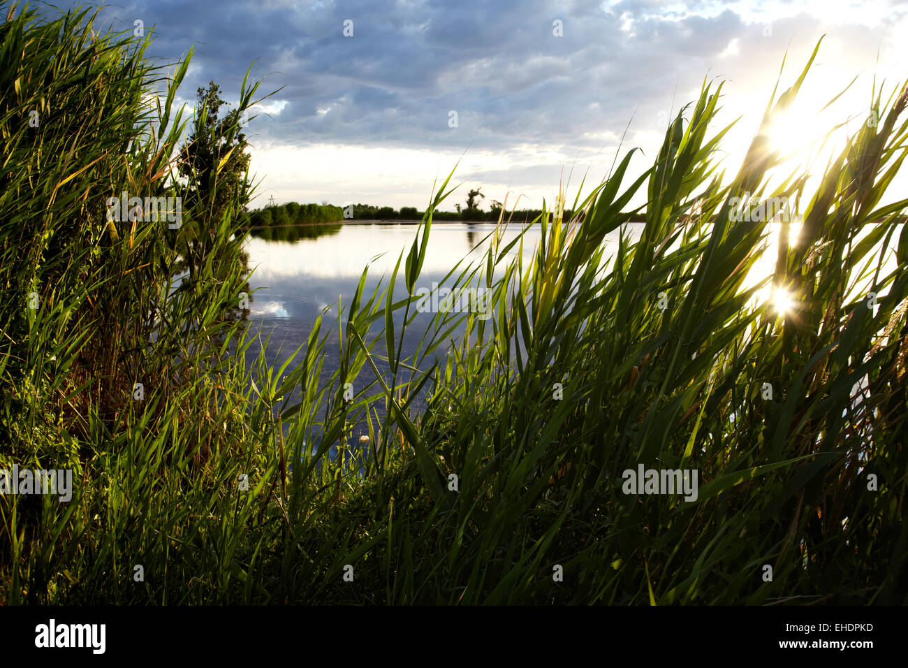 L like hi-res stock photography and images - Alamy
