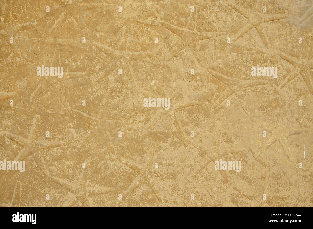 Plaster plasterwork ceiling hi-res stock photography and images - Alamy