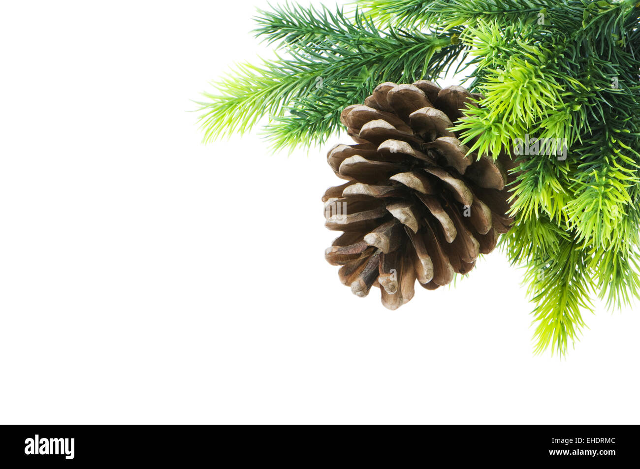 Cone and christmas tree isolated on white Stock Photo - Alamy