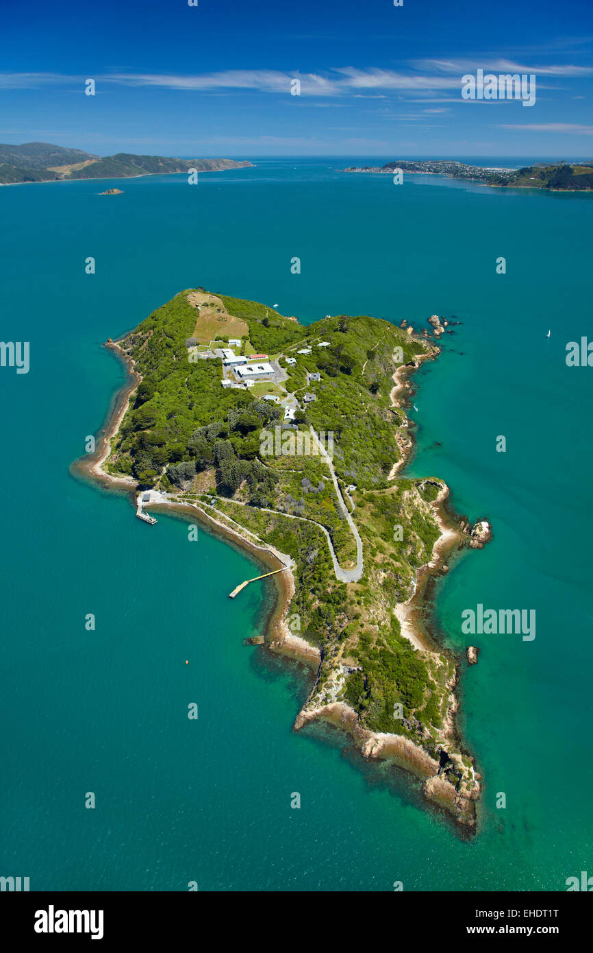 Somes island new zealand hires stock photography and images Alamy